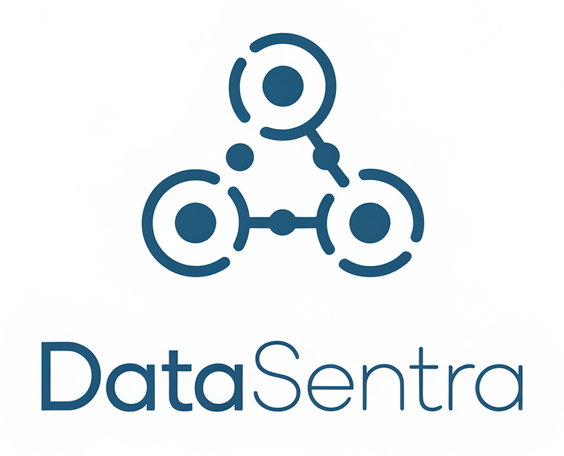 DataSentra Logo